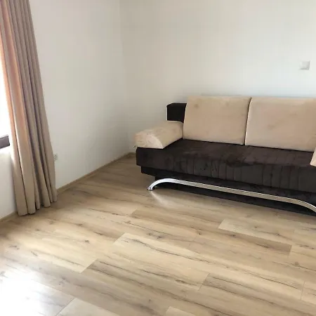 Amazing Facing The Sea